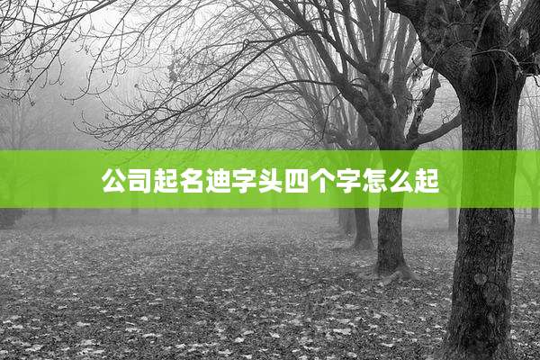 公司起名迪字头四个字怎么起