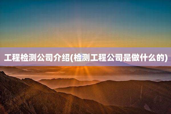 工程检测公司介绍(检测工程公司是做什么的)