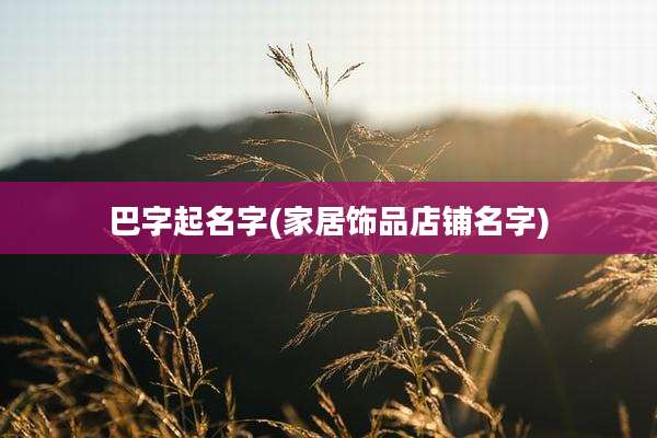 巴字起名字(家居饰品店铺名字)