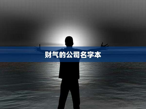 财气的公司名字本