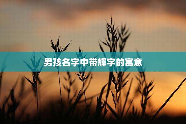 男孩名字中带辉字的寓意