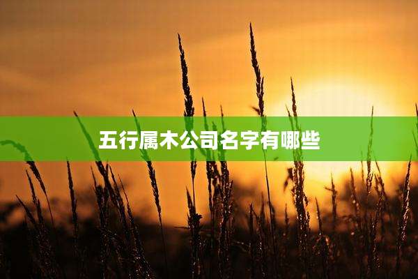 五行属木公司名字有哪些