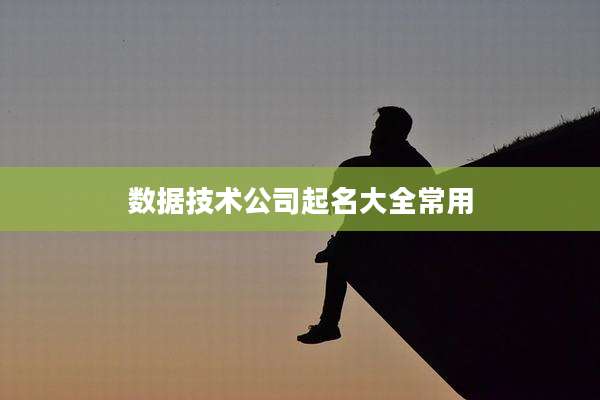 数据技术公司起名大全常用