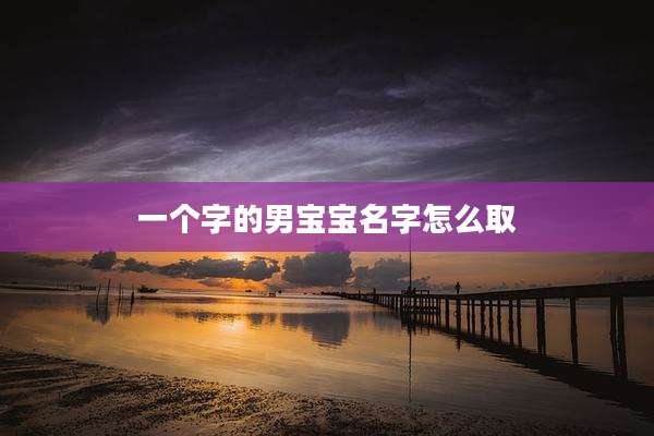 一个字的男宝宝名字怎么取