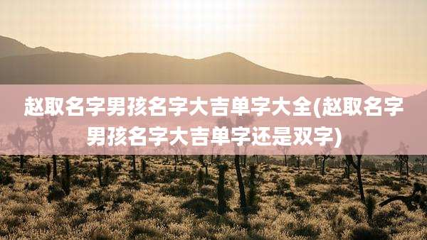 赵取名字男孩名字大吉单字大全(赵取名字男孩名字大吉单字还是双字)