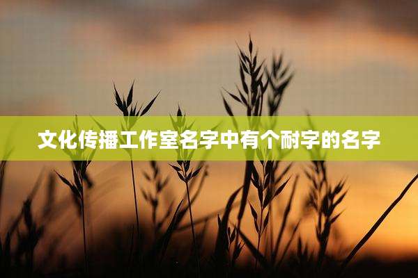 文化传播工作室名字中有个耐字的名字