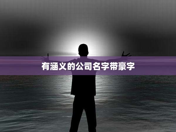 有涵义的公司名字带豪字