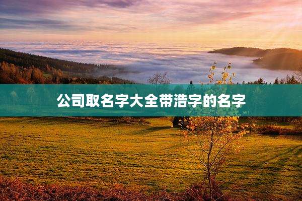 公司取名字大全带浩字的名字