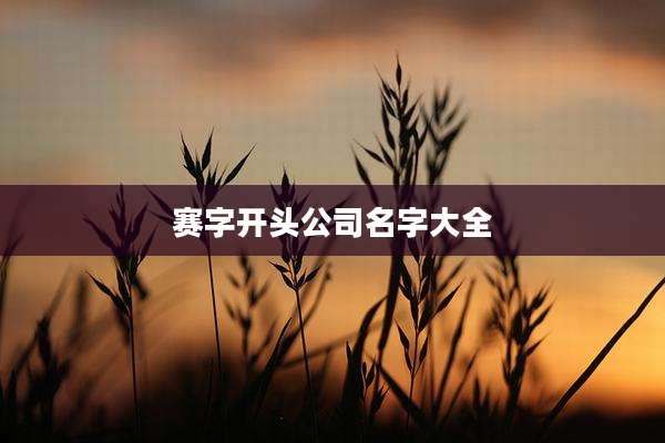 赛字开头公司名字大全