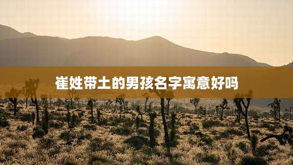 崔姓带土的男孩名字寓意好吗
