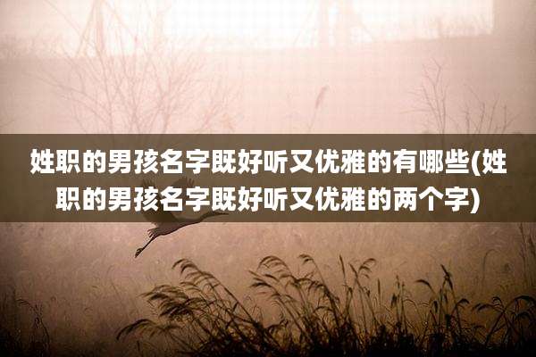 姓职的男孩名字既好听又优雅的有哪些(姓职的男孩名字既好听又优雅的两个字)