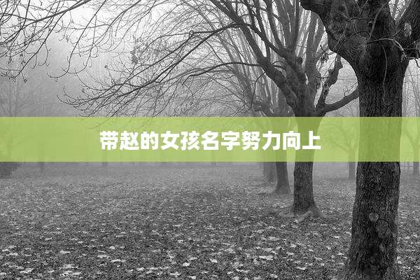带赵的女孩名字努力向上