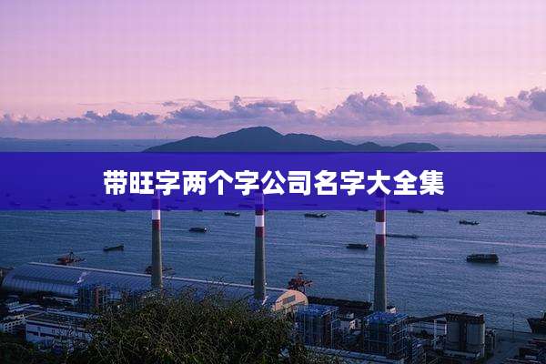 带旺字两个字公司名字大全集