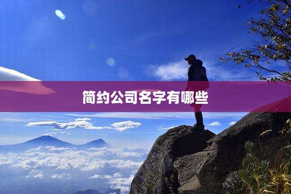 简约公司名字有哪些