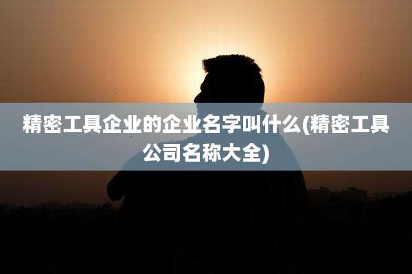 精密工具企业的企业名字叫什么(精密工具公司名称大全)