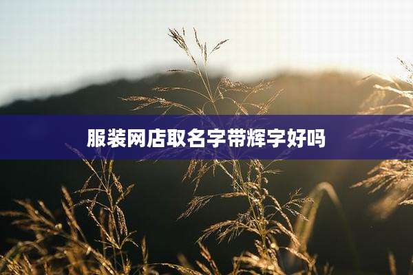 服装网店取名字带辉字好吗