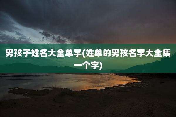 男孩子姓名大全单字(姓单的男孩名字大全集一个字)