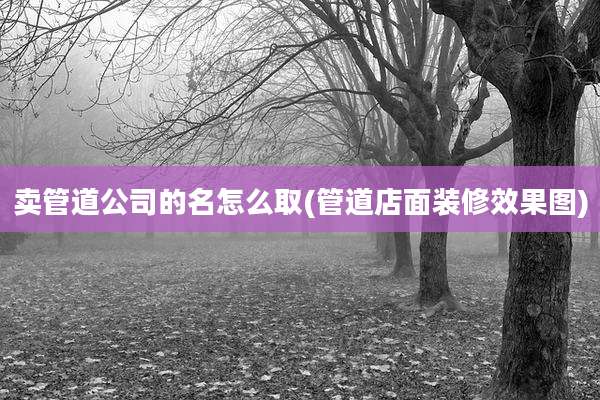 卖管道公司的名怎么取(管道店面装修效果图)