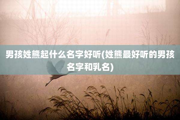 男孩姓熊起什么名字好听(姓熊最好听的男孩名字和乳名)