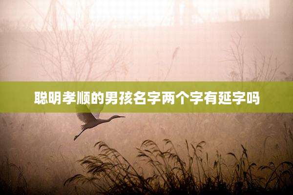 聪明孝顺的男孩名字两个字有延字吗