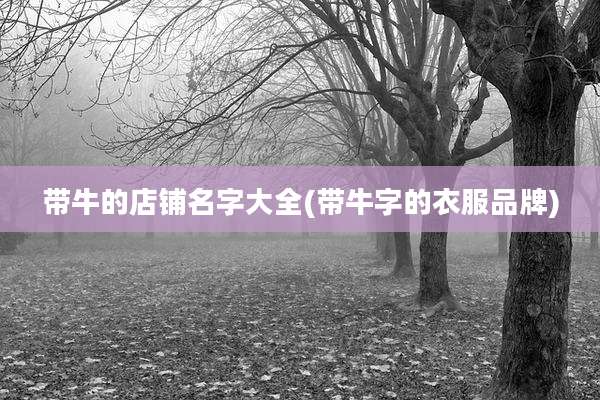 带牛的店铺名字大全(带牛字的衣服品牌)