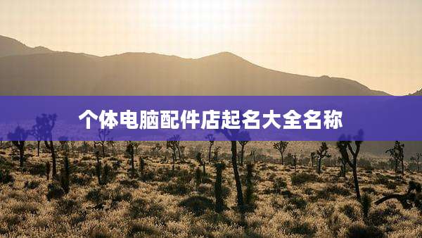 个体电脑配件店起名大全名称