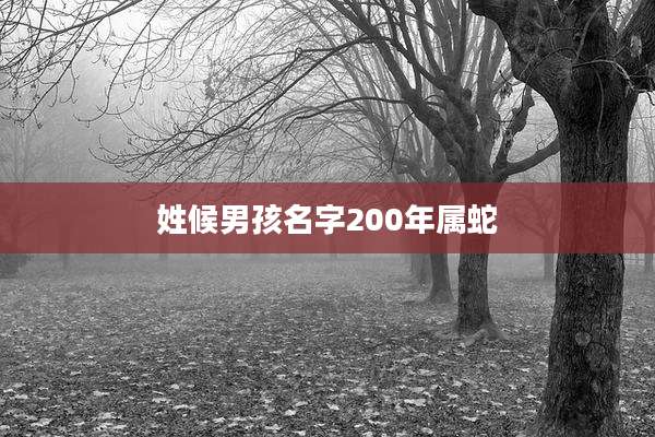 姓候男孩名字200年属蛇