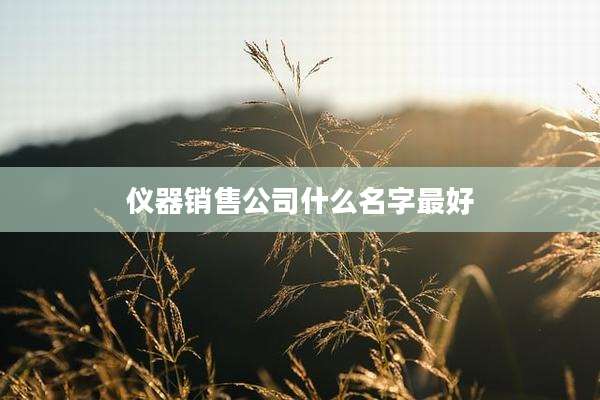 仪器销售公司什么名字最好