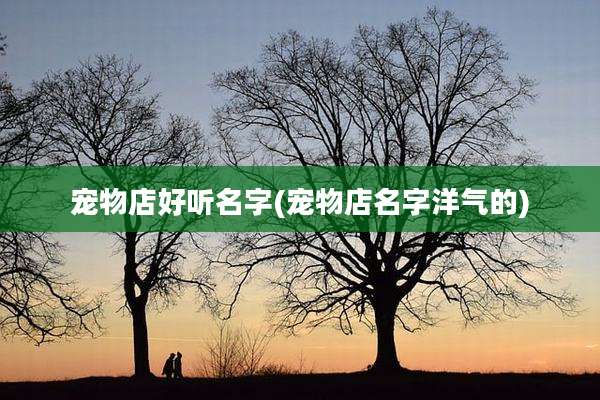 宠物店好听名字(宠物店名字洋气的)