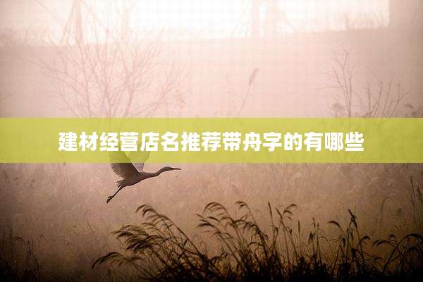 建材经营店名推荐带舟字的有哪些