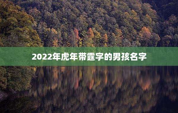 2022年虎年带霆字的男孩名字