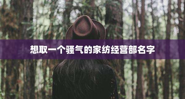 想取一个骚气的家纺经营部名字