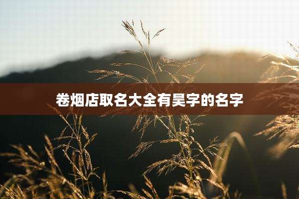 卷烟店取名大全有昊字的名字