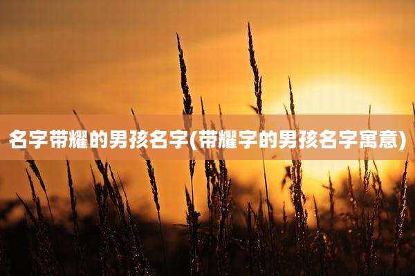 名字带耀的男孩名字(带耀字的男孩名字寓意)