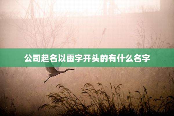 公司起名以雷字开头的有什么名字