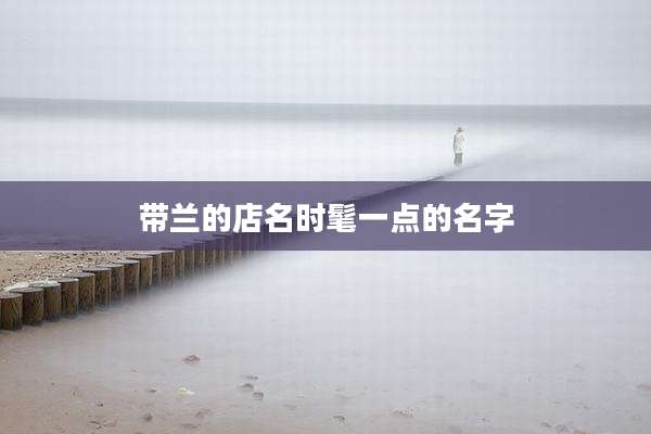 带兰的店名时髦一点的名字
