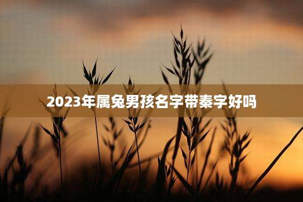2023年属兔男孩名字带秦字好吗