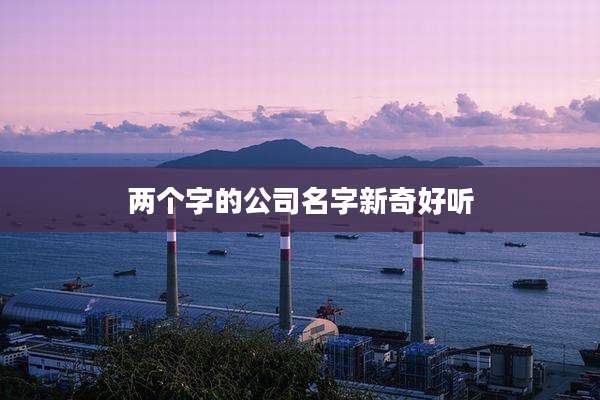 两个字的公司名字新奇好听