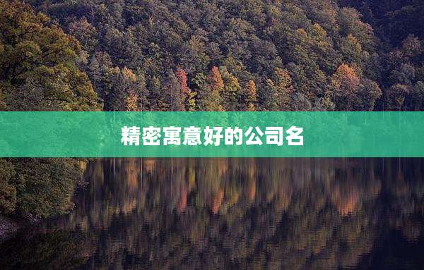 精密寓意好的公司名