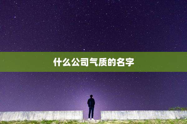 什么公司气质的名字