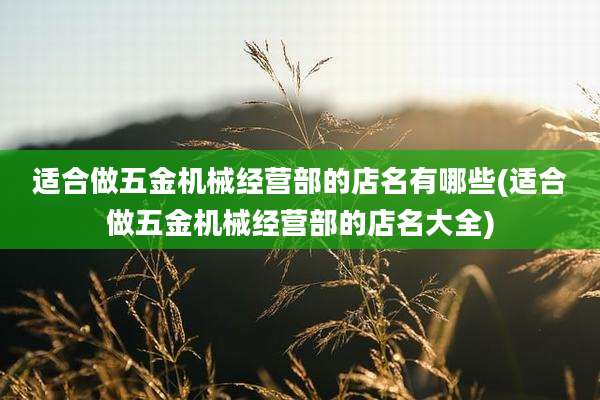 适合做五金机械经营部的店名有哪些(适合做五金机械经营部的店名大全)