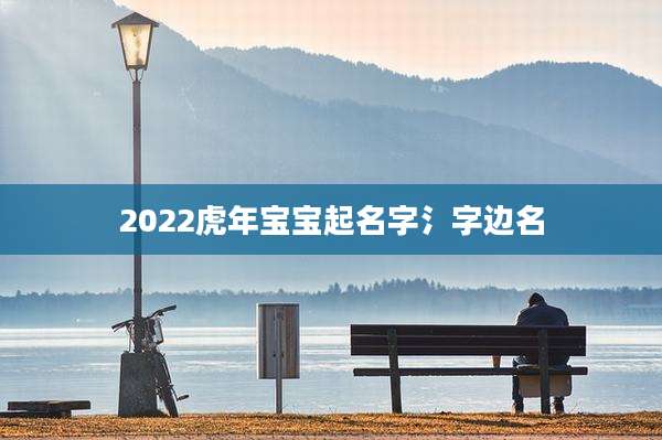 2022虎年宝宝起名字氵字边名