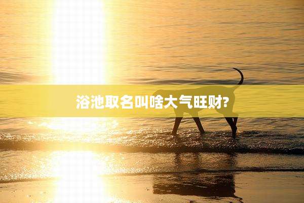 浴池取名叫啥大气旺财?
