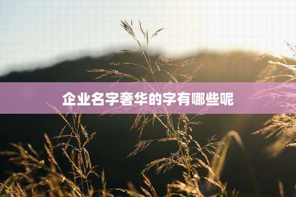 企业名字奢华的字有哪些呢