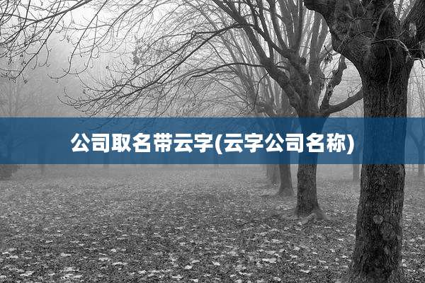 公司取名带云字(云字公司名称)
