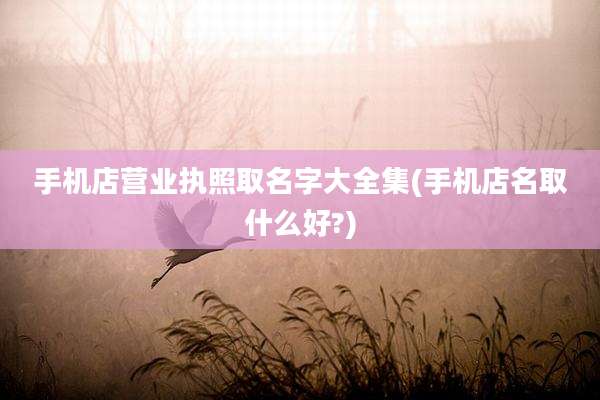 手机店营业执照取名字大全集(手机店名取什么好?)