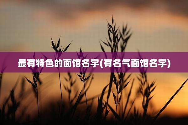 最有特色的面馆名字(有名气面馆名字)