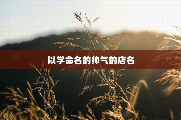 以学命名的帅气的店名