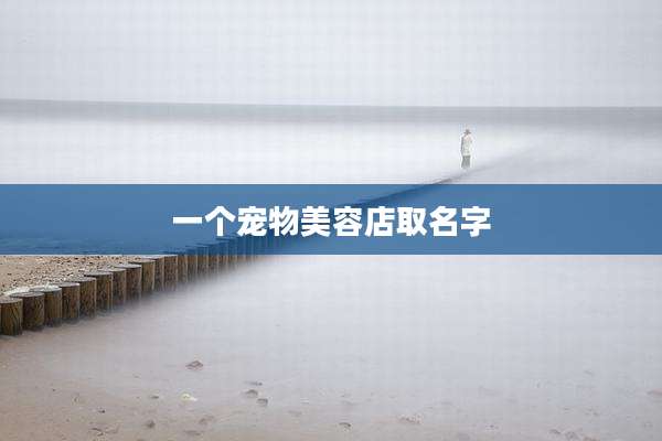 一个宠物美容店取名字