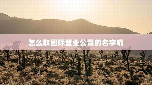 怎么取国际置业公司的名字呢